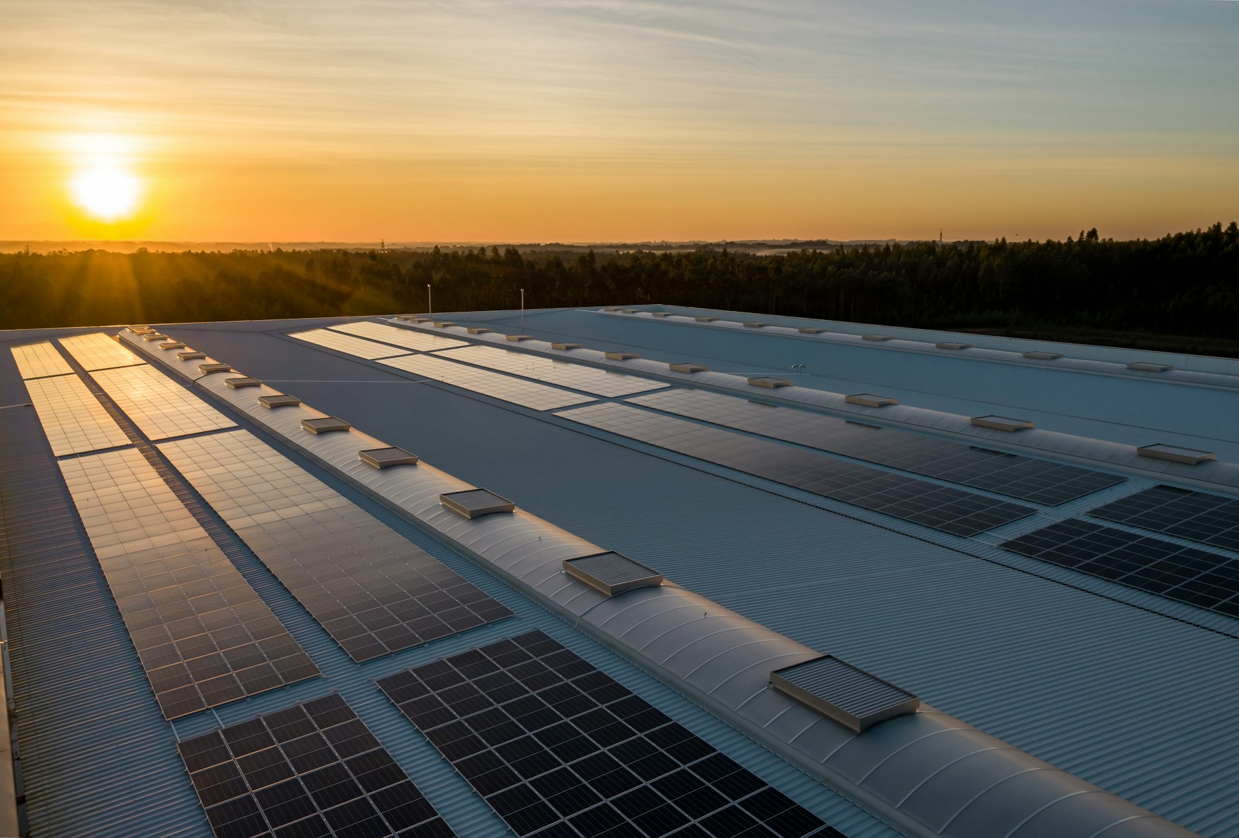 Solar panels on a roof at golden hour