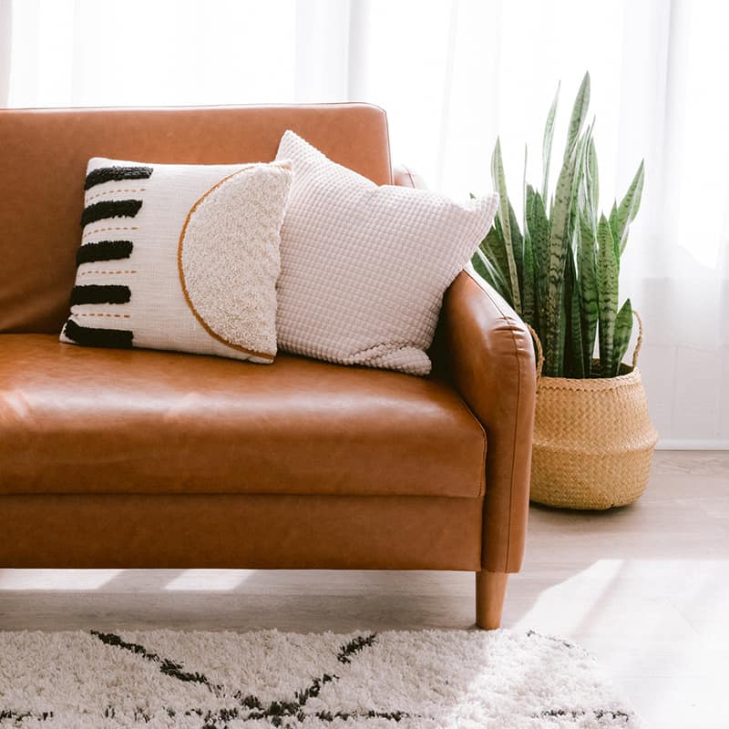 Image of a brown sofa with a flower pot