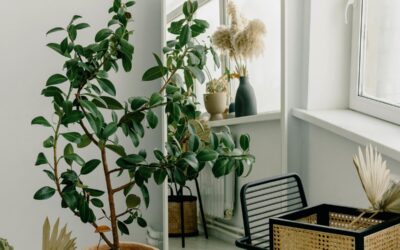 Leroy Merlin transforma portas em varais para secar roupa dentro de casas pequenas em dias de chuva