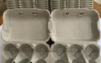 Aqui estão as Surpreendentes Razões Pelas Quais Cada Vez Mais Pessoas Guardam as Caixas de Ovos